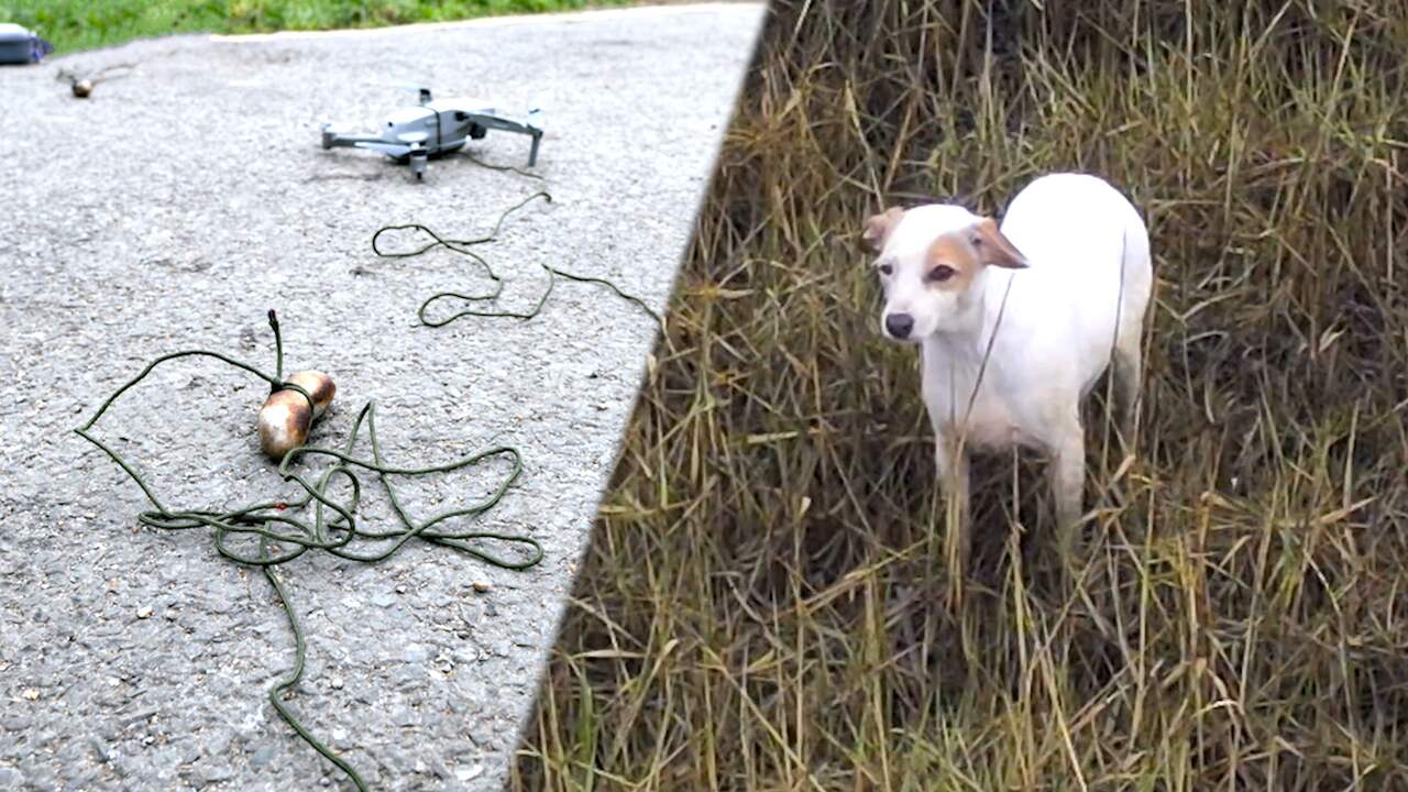 Beeld uit video: Drone met worst redt hond van Britse wadden