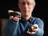 Paleontologen bevestigen eerste vondst dinosaurusfossielen uit Ierland ooit