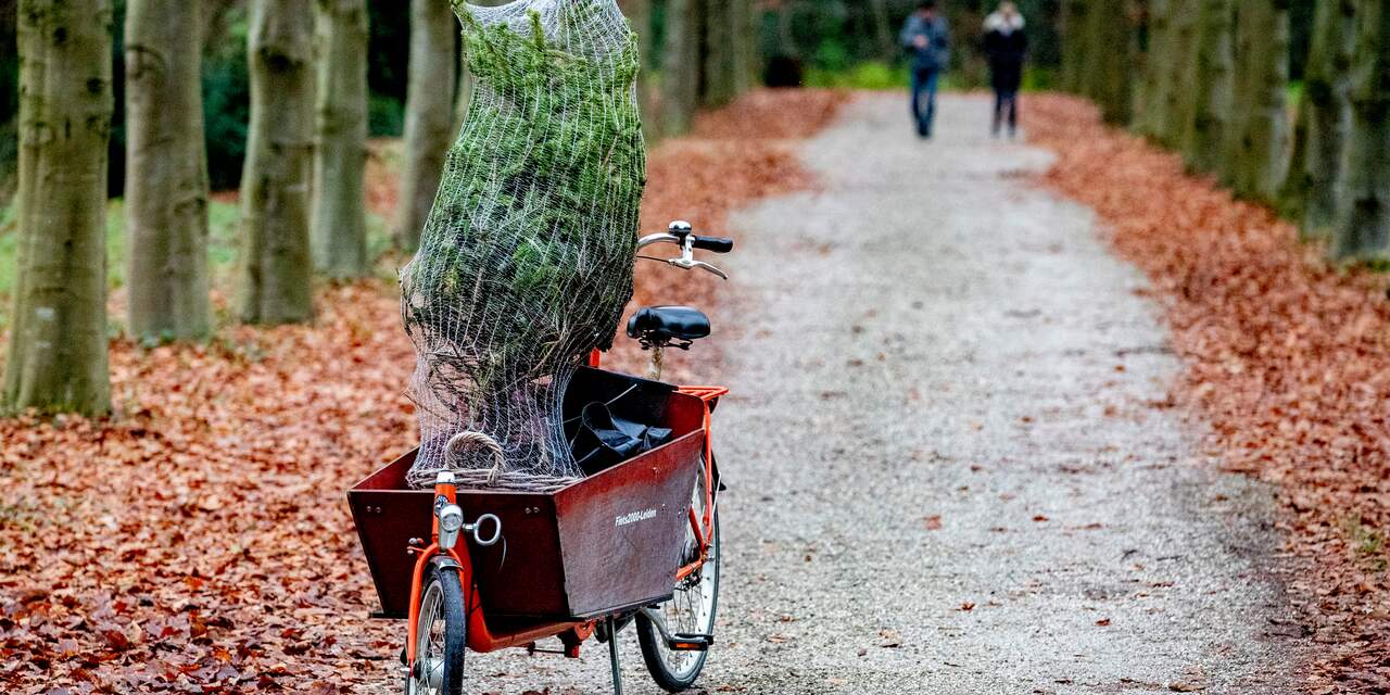 Elfhonderd plekken in Amsterdam om kerstbomen in te leveren