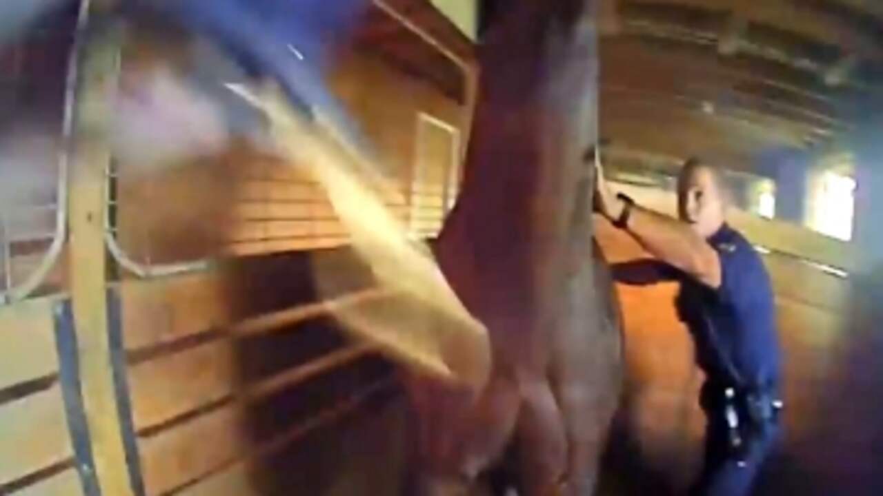 Beeld uit video: Bodycam legt reddingsactie paard in brandende schuur vast