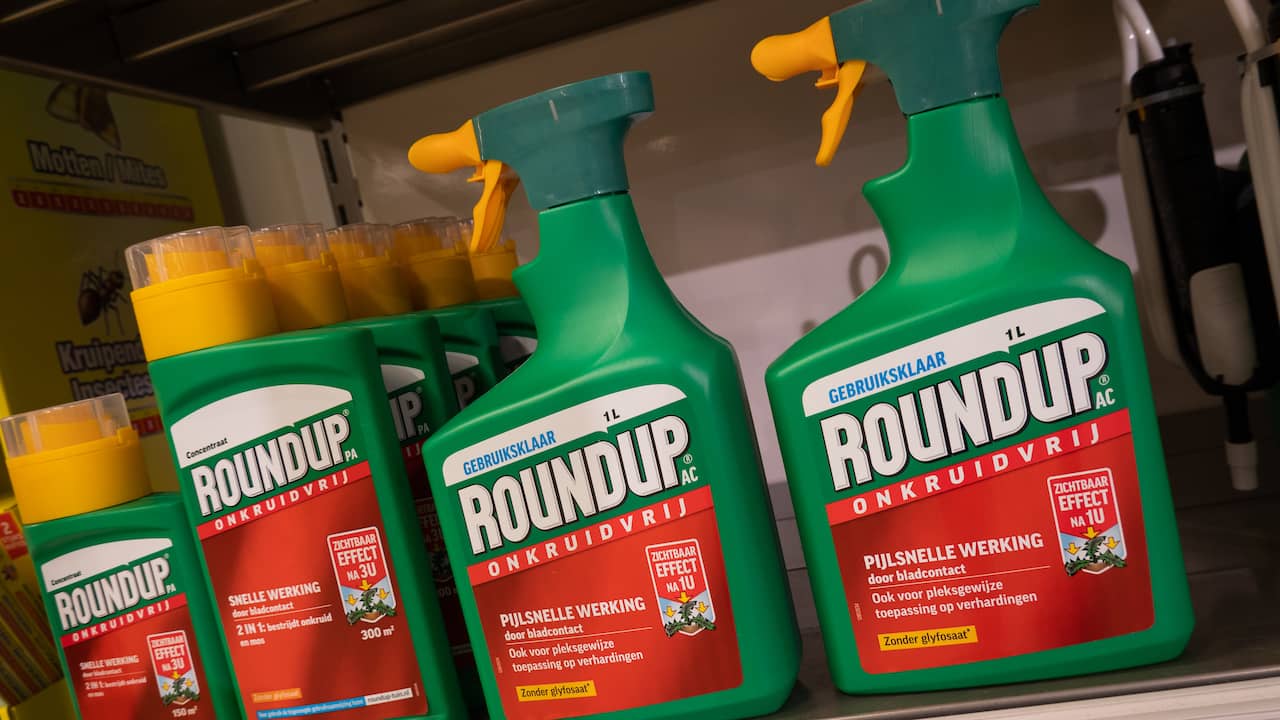 Der deutsche Chemieriese Bayer erleidet in der Roundup-Affäre einen weiteren Rückschlag |  Wirtschaft