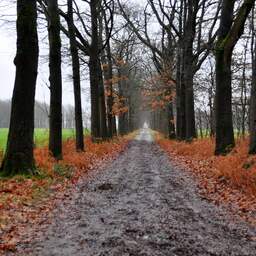 Weerbericht: Bewolkte dag met motregen in het noorden