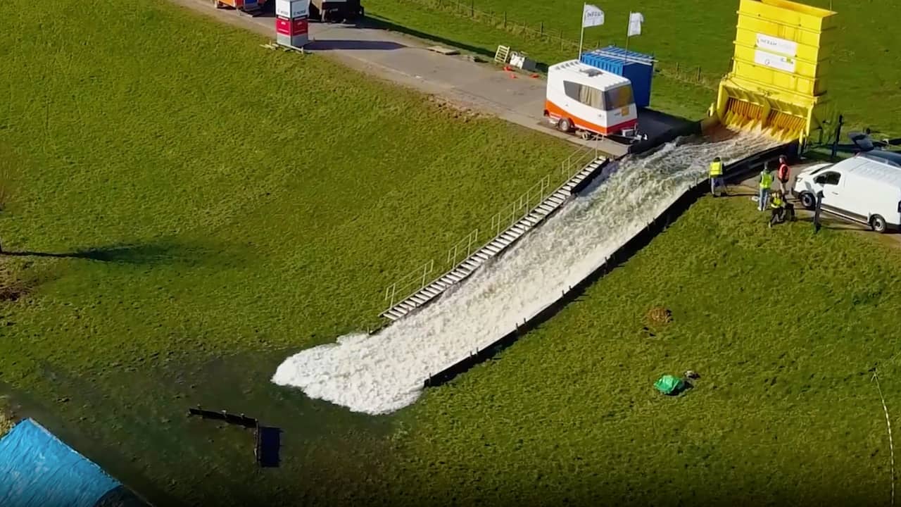 Beeld uit video: Zo kan een bloemetje ons beschermen tegen overstromingen