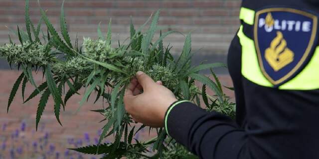 Hennepkwekerij in woning aan de Brittenruststraat in Alphen opgerold