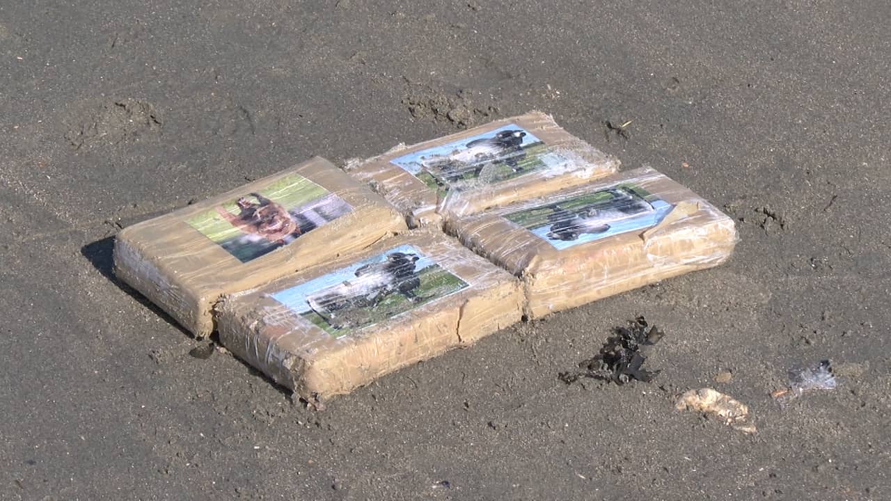 Hundreds of packages with presumably cocaine washed up in Zeeland |  NOW