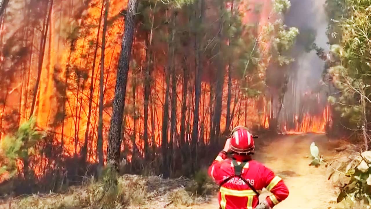 Beeld uit video: Portugal opnieuw geteisterd door bosbranden