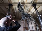 Wandelen met dinosauriërs: T. rex liep niet veel sneller dan de mens
