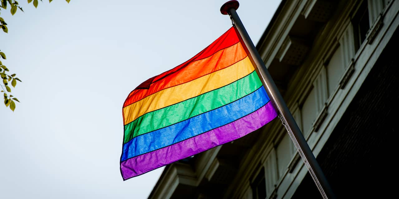 varients of gay pride flags