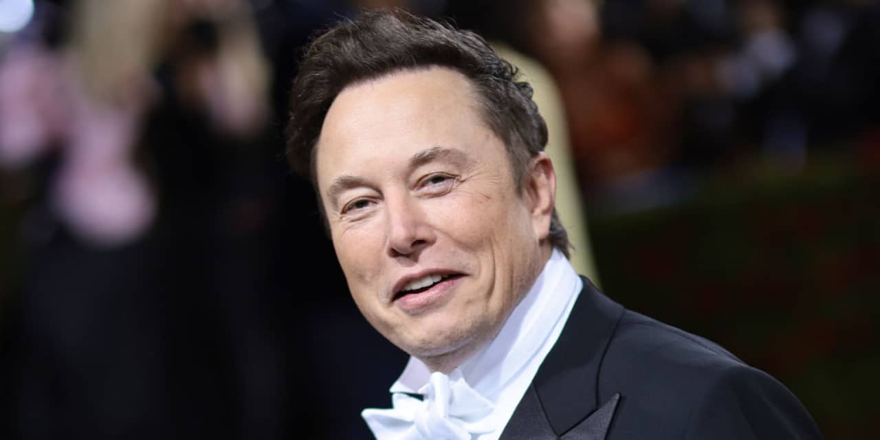Verzoek van dochter Elon Musk om niet langer zijn naam te dragen goedgekeurd