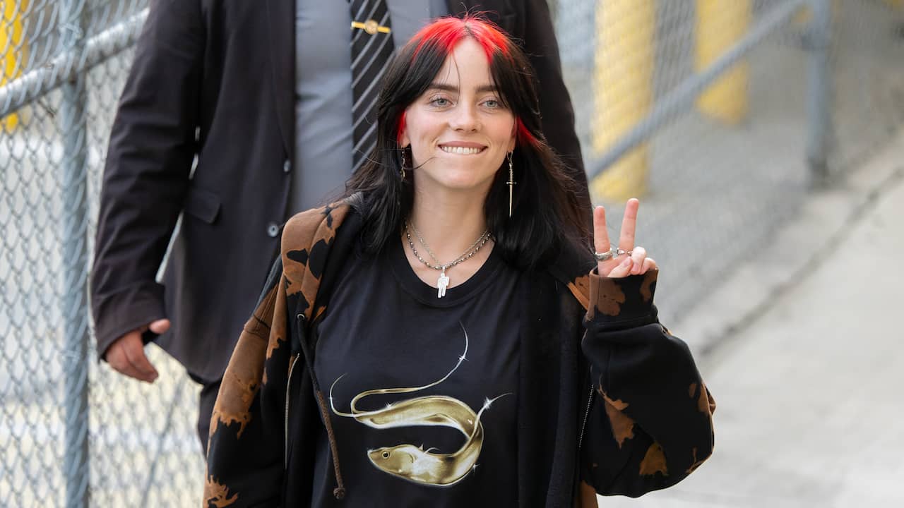 Billie Eilish Files Restraining Order Against Stalker: Latest Update