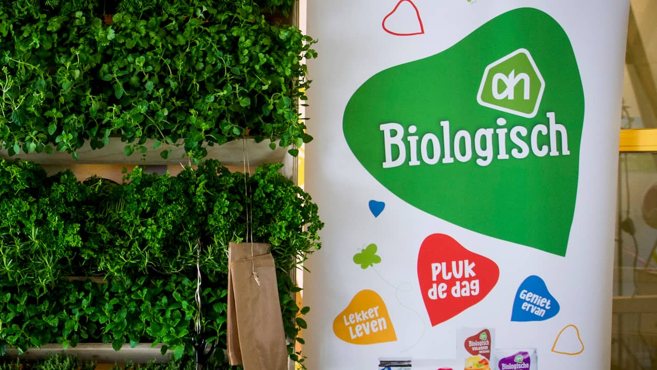 manipuleren spier drempel Albert Heijn komt met bio-winkel in Utrecht | Lifestyle | NU.nl