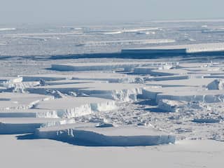 Noordpoolijs snel achteruit: In 40 jaar is bijna drie kwart verdwenen