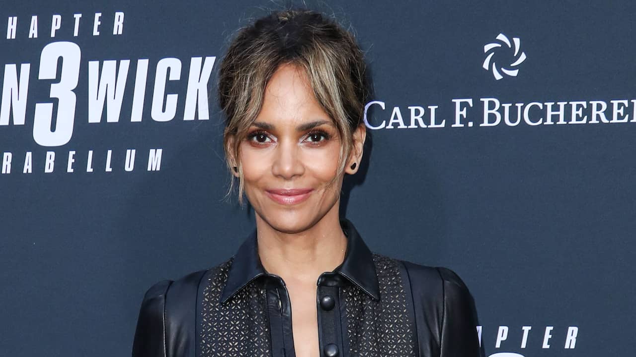 Halle Berry vertegenwoordigt zichzelf in scheiding van Olivier Martinez |  Achterklap | NU.nl