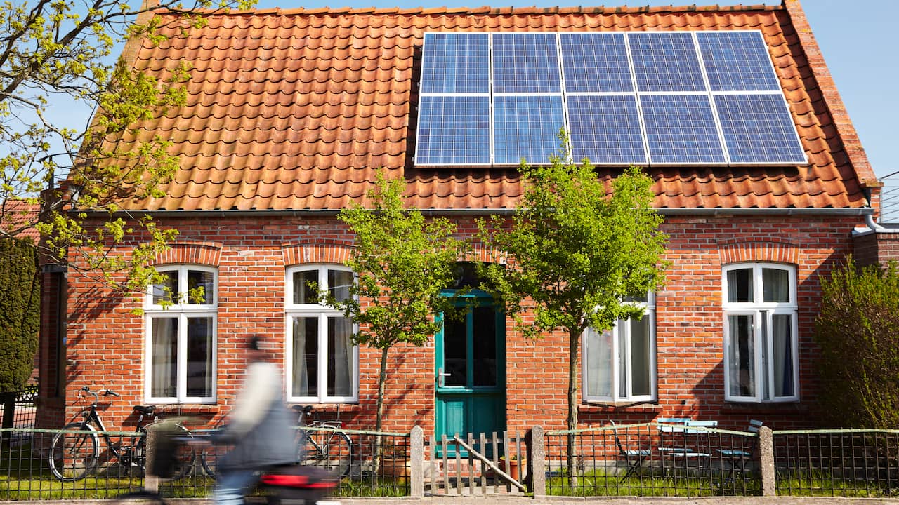 Greening under pressure: less profitable solar panels and wind turbines |  Economy