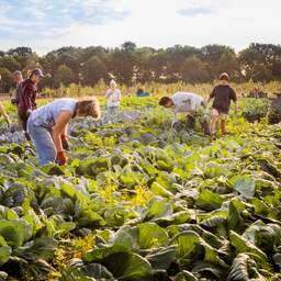 NU+ | Boer en burger runnen boerderij: 'Belangrijk dat je oorsprong voedsel kent'