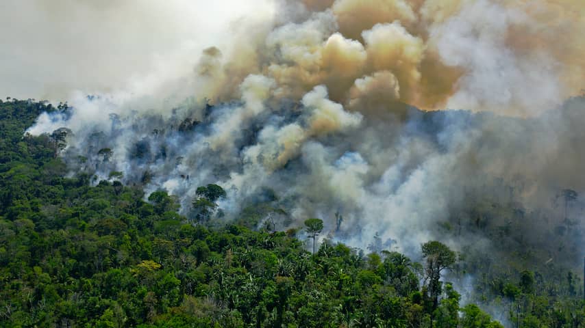 Amazoneregenwoud stoot inmiddels meer CO2 uit dan het absorbeert