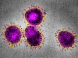 Drie mensen in Nederland getest op coronavirus, zijn niet besmet