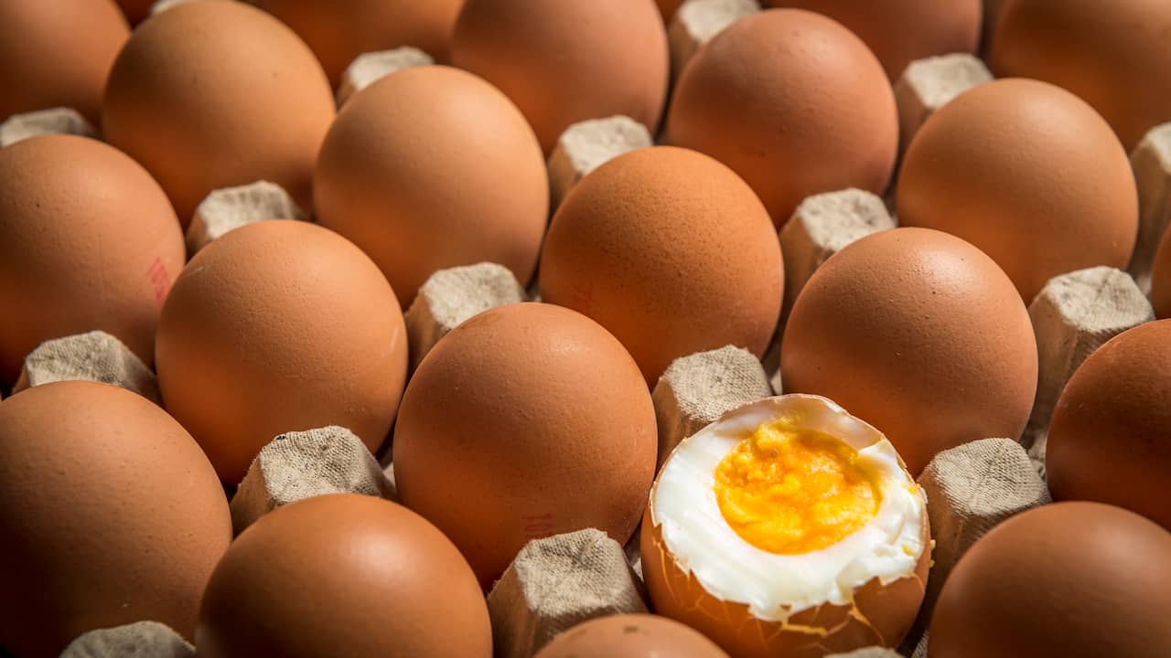 Free-range egg disappears from the supermarket due to bird flu |  Economy