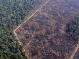 Brazilië verbiedt tijdelijk brandstichting voor landontginning
