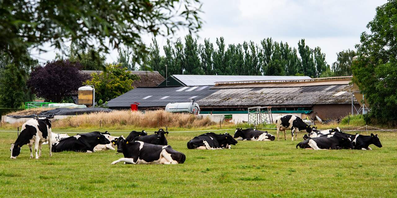 Zeeland stelt boerderijenregisseur voor behoud waardevolle boerderijen
