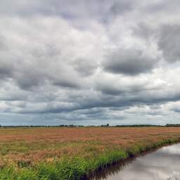 Weerbericht: Frisse dag met iets minder buien dan de afgelopen dagen