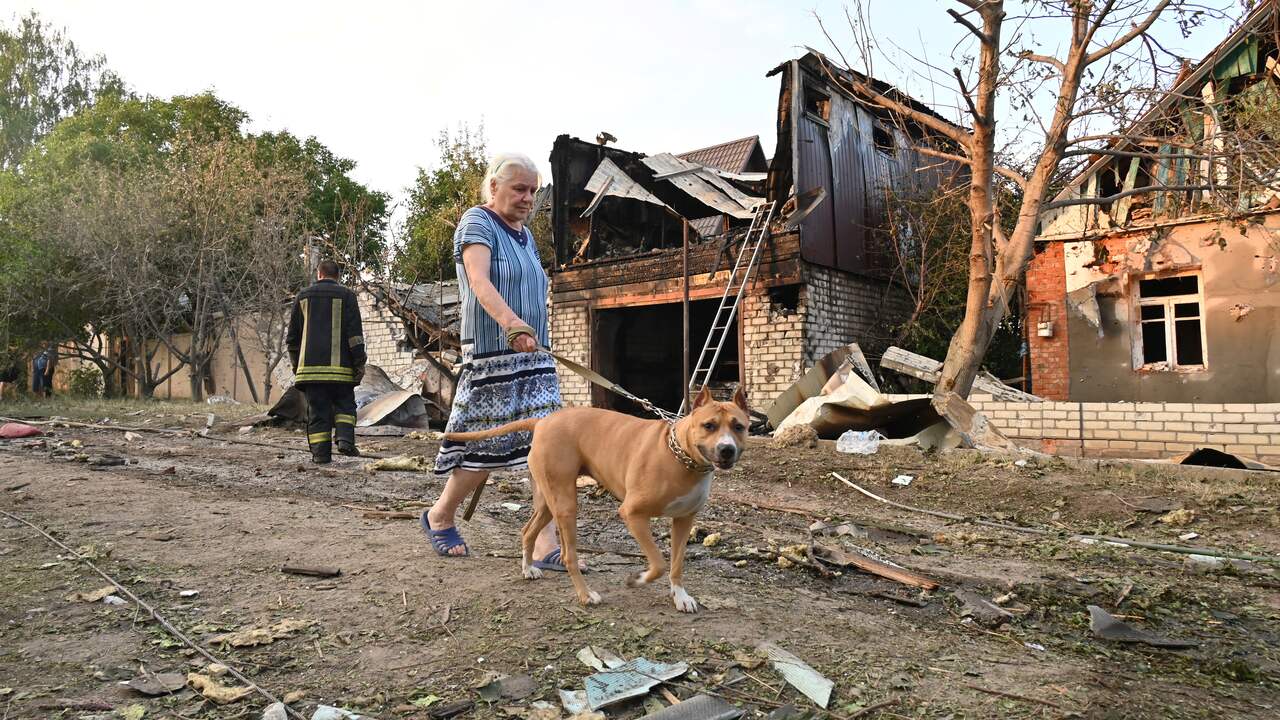 Seorang wanita berjalan dengan anjing di Kharkiv.  Baru-baru ini kota itu kembali diserang Rusia.