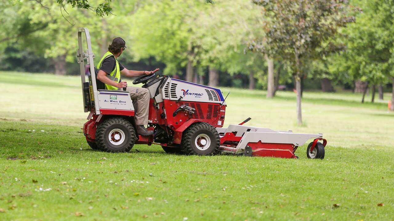 Why you should mow the grass quickly |  life