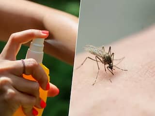 Dit 'ouderwetse' middel helpt écht tegen muggen
