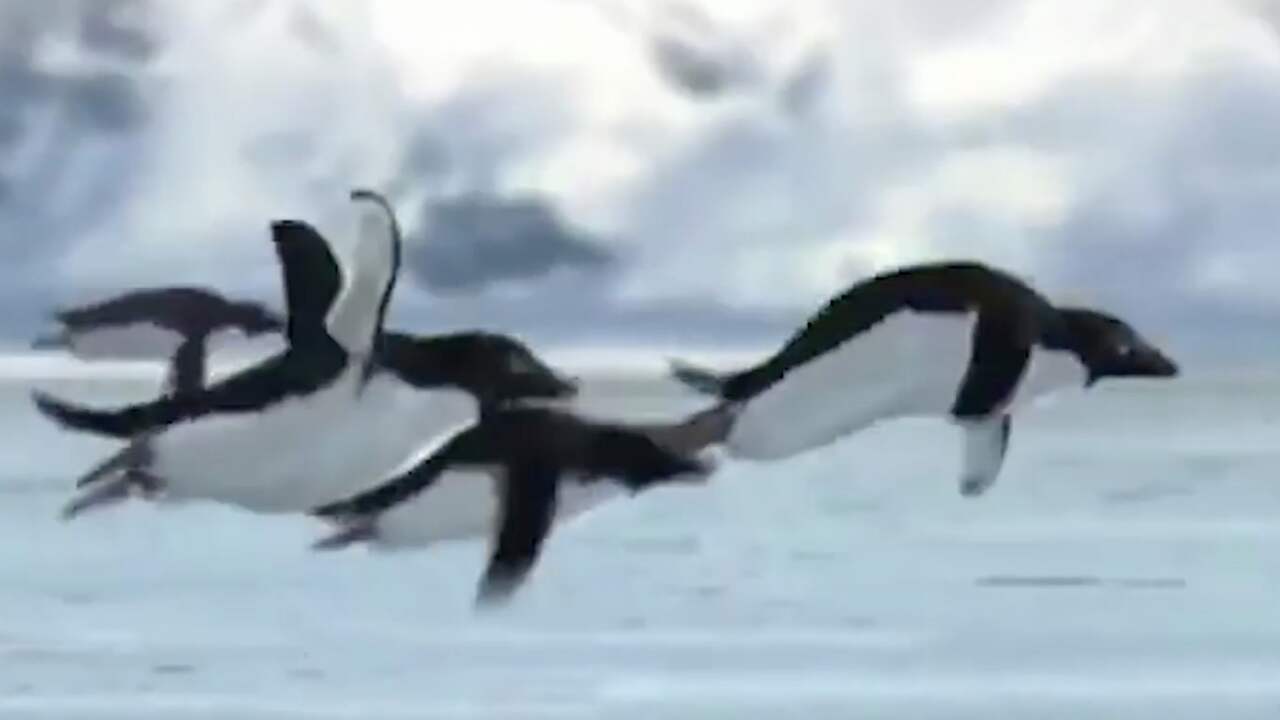 Beeld uit video: Spaghettiboeren en vliegende pinguïns: 1 april door de jaren heen
