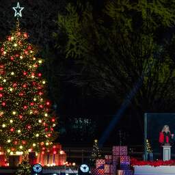 Metro Pointe Christmas Tree 2022 Videos | Biden Lights Up Us National Christmas Tree For The First Time -  Paudal