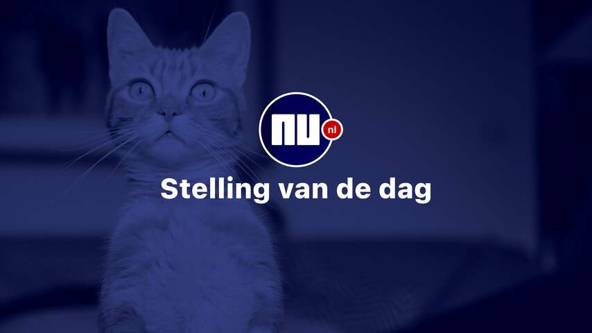 Stelling: Er moet naast hondenbelasting ook kattenbelasting komen