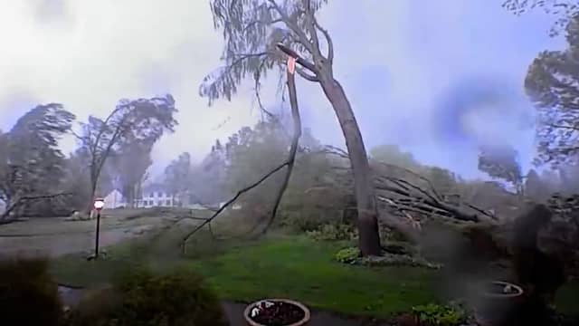 Beveiligingscamera filmt hoe bomen uit de grond worden gerukt door tornado