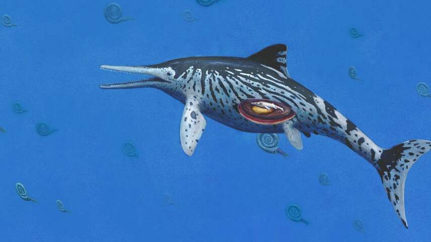 ichthyosaurus