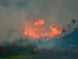 Natuurparken in Californië moeten sluiten vanwege groeiende bosbranden