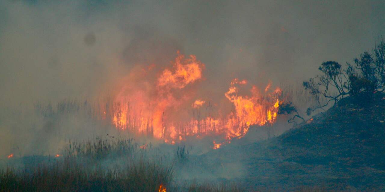Natuurparken in Californië moeten sluiten vanwege groeiende bosbranden
