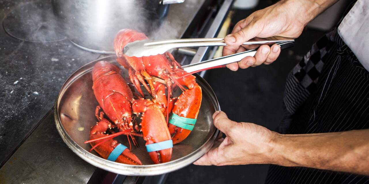 Kabinet wil een einde aan levend koken van krabben en kreeften