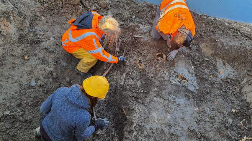 Tientallen mogelijk middeleeuwse skeletten gevonden in Vianen