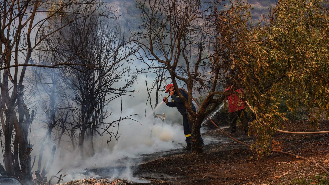 Twee Dorpen Op Grieks Eiland Evia Geëvacueerd Vanwege Bosbranden | NU ...