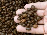 Zoektocht naar betaalbare kop koffie zorgt voor tekort aan goedkope bonen