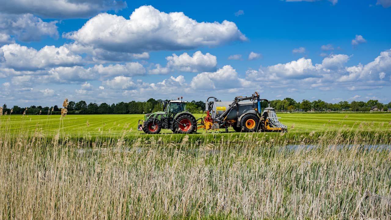 Beeld uit video: Op deze plekken is stikstof het grootste probleem