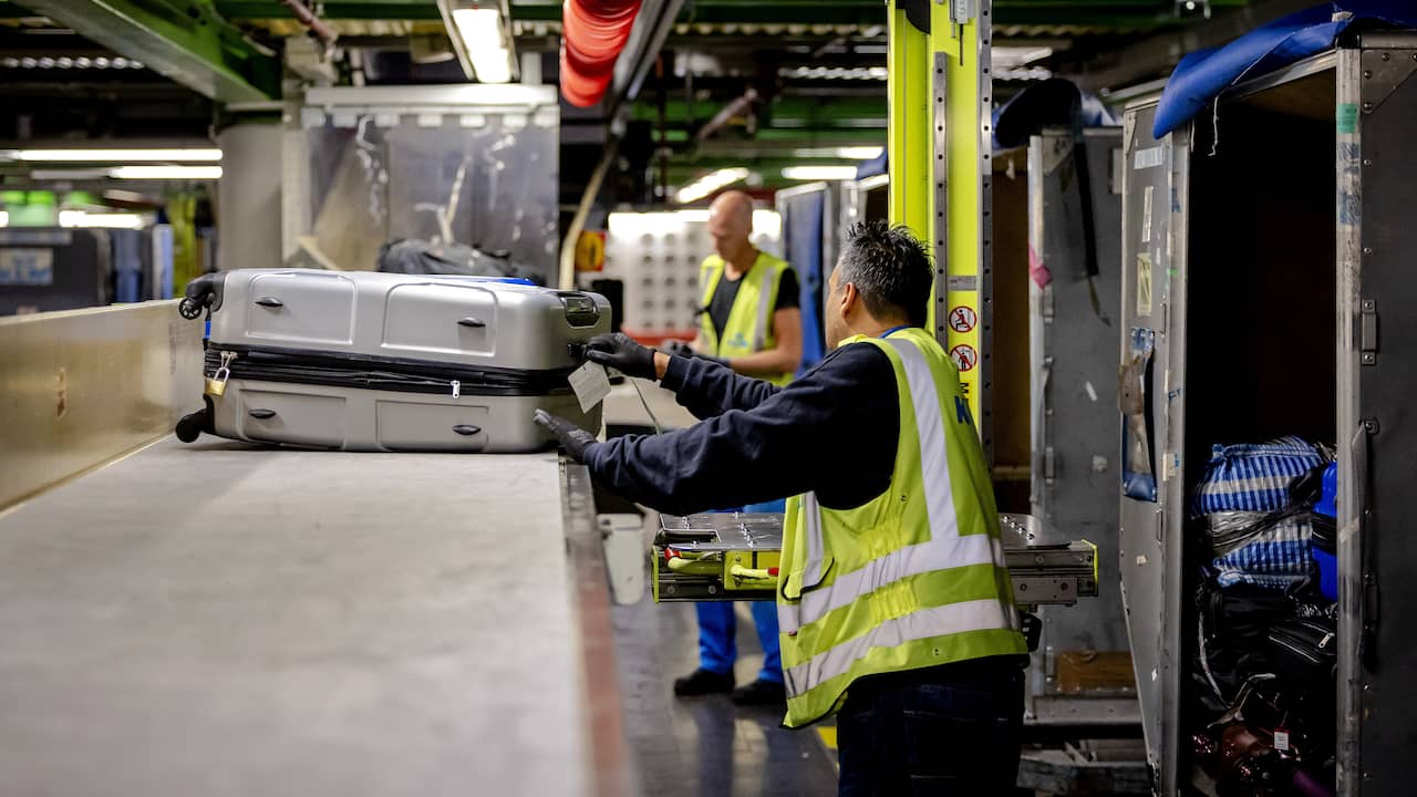 Baggage companies Schiphol let staff carry too heavy, FNV starts lawsuit |  Economy