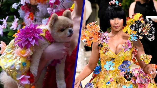 Honden in New York dragen kledingstukken van beroemdheden