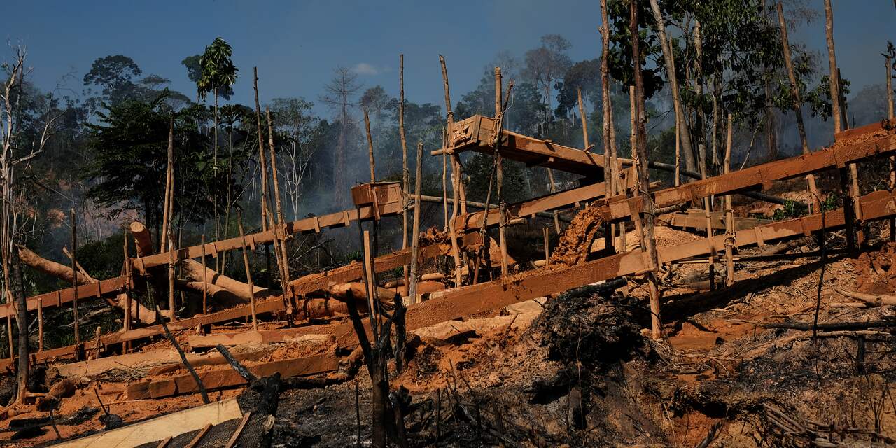Ontbossing in de Amazone: Bomen maken plaats voor mijnen en veeteelt