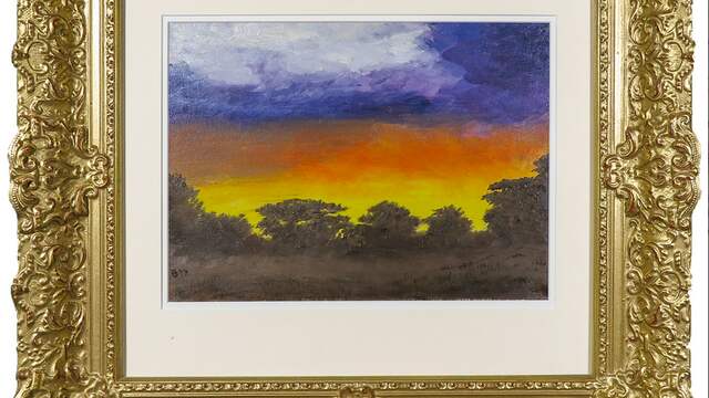 Afrikaans landschap bij nacht (1977) van prins Bernard.