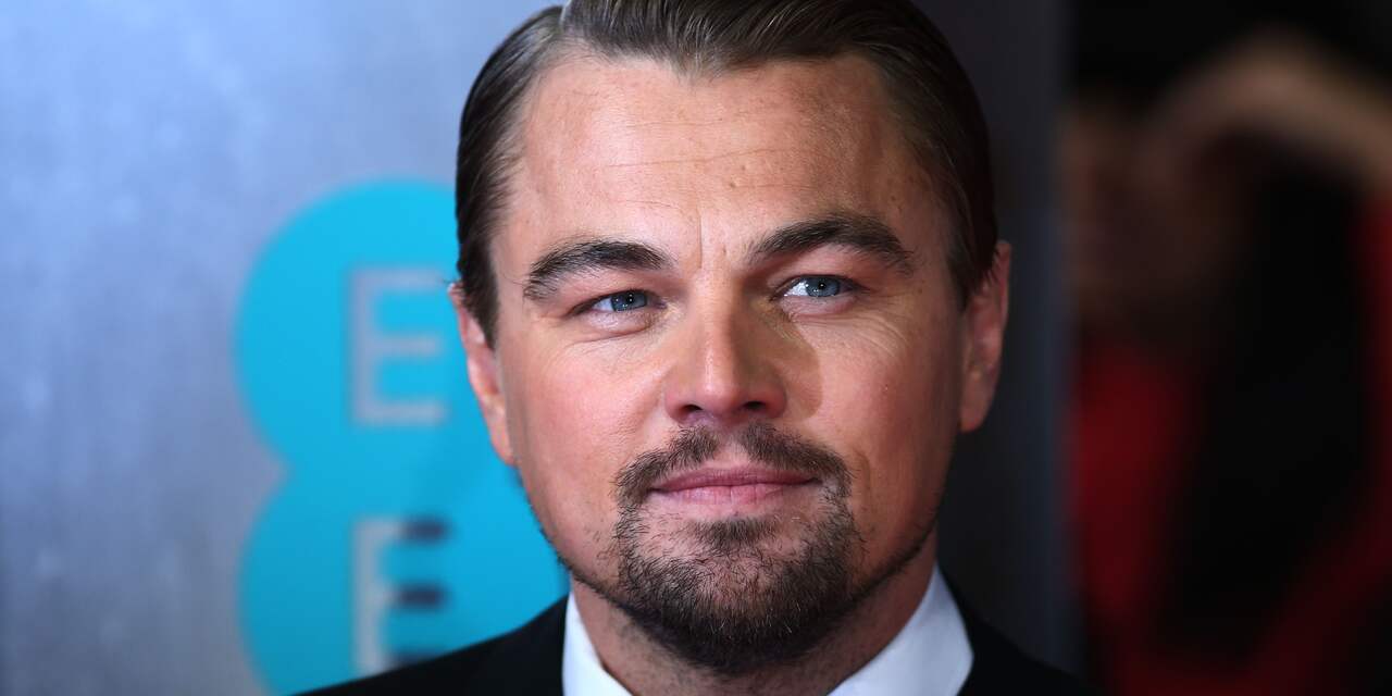 Leonardo DiCaprio schenkt kunstwerk aan museum in Los Angeles