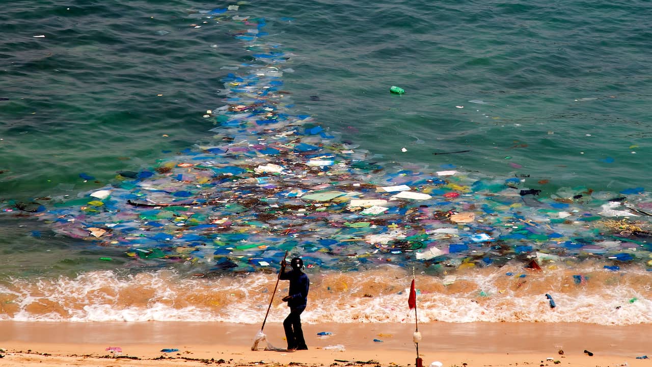 Des chercheurs néerlandais découvrent que la lumière du soleil peut décomposer le plastique dans les océans |  Science