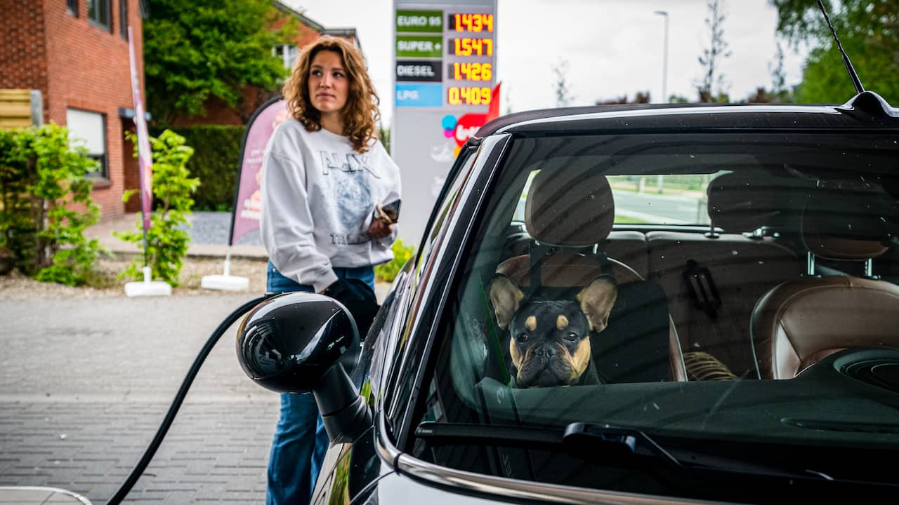 Bandiet onderbreken bedrijf Simpel uitgelegd: Hoelang kan ik nog rijden op benzine? | NU-uitgelegd |  NU.nl
