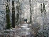 Wandelingen die extra mooi zijn in de winter