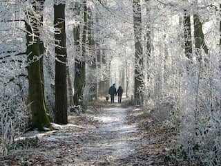 Wandelingen die extra mooi zijn in de winter