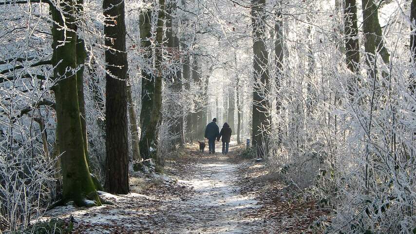 Winterwandeling bij de Zoogenbrink in Diepenveen.